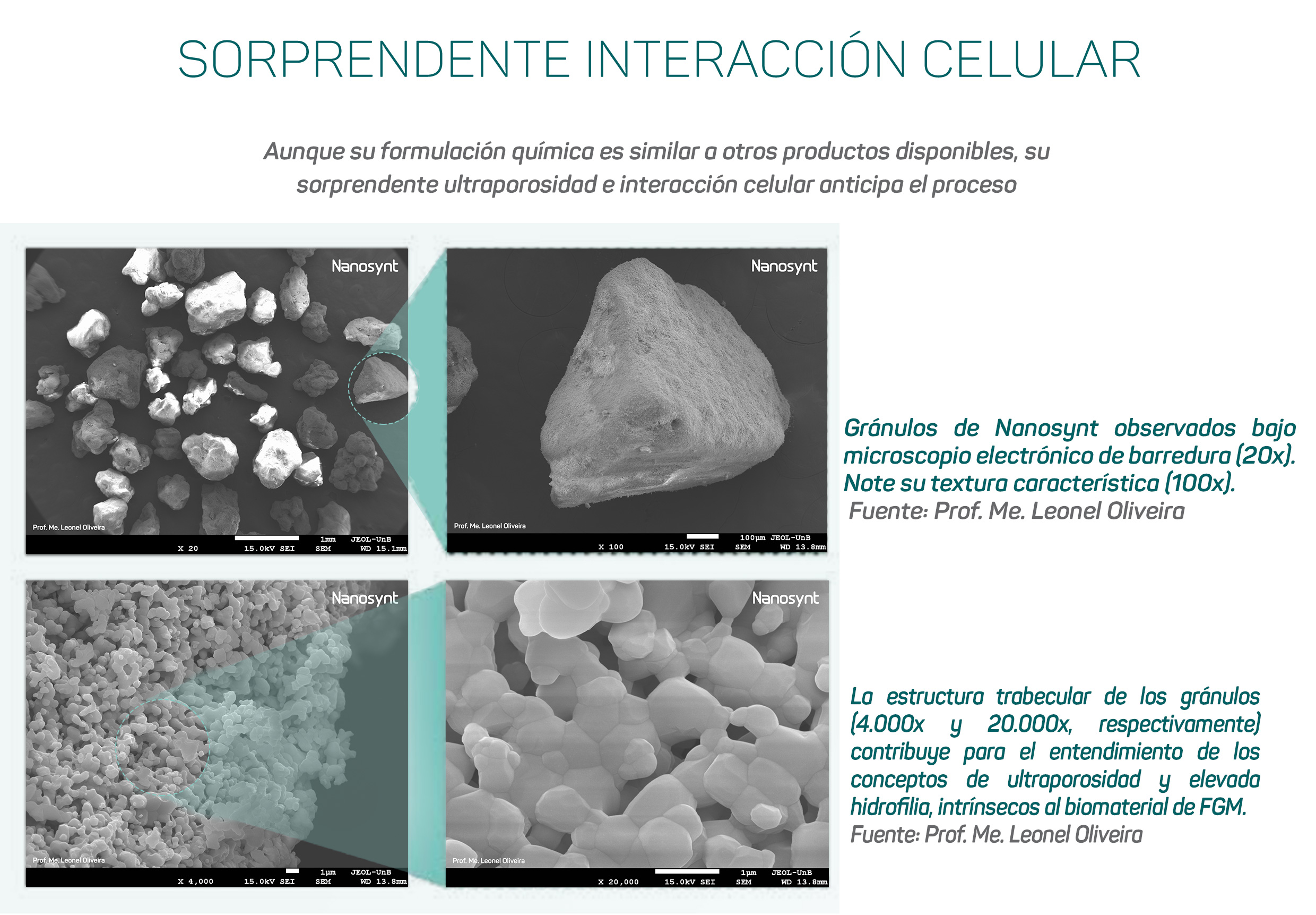 Interacción celular